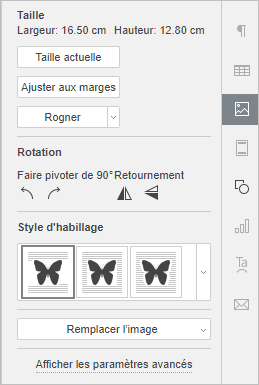 Onglet Paramètres de l'image