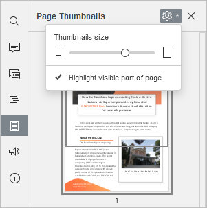 Page thumbnails settings