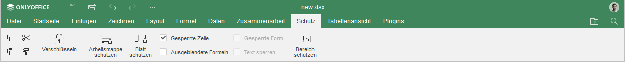 Registerkarte Schutz