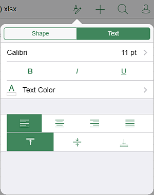 Panneau de configuration du texte